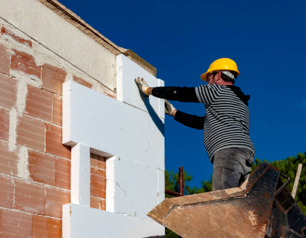 Professional Insulation Contractor in Clio, AL
