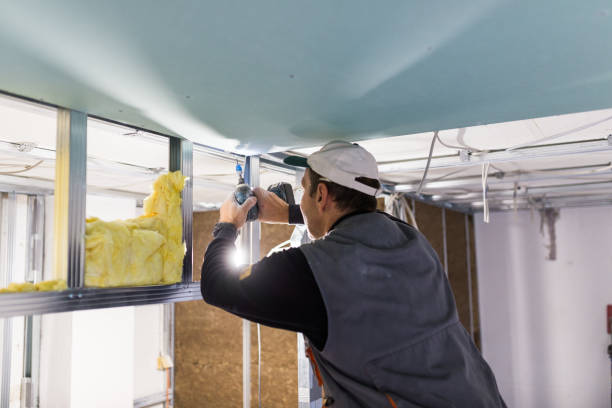 Best Commercial Insulation in Clio, AL