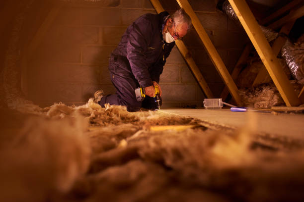 Types of Insulation We Offer in Clio, AL